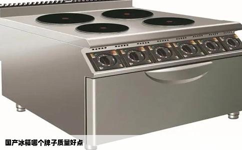 国产冰箱哪个牌子质量好点