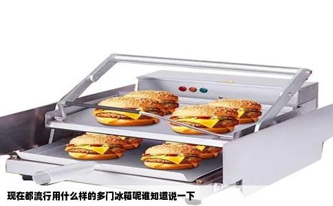 现在都流行用什么样的多门冰箱呢谁知道说一下