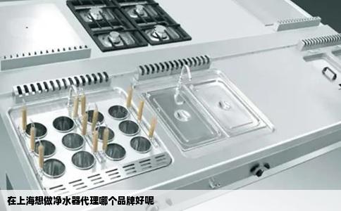 在上海想做净水器代理哪个品牌好呢