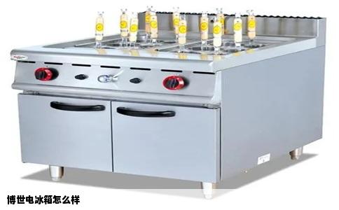 博世电冰箱怎么样