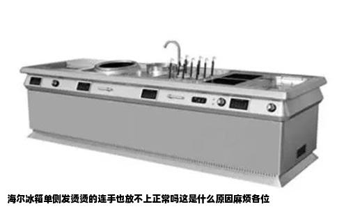 海尔冰箱单侧发烫烫的连手也放不上正常吗这是什么原因麻烦各位