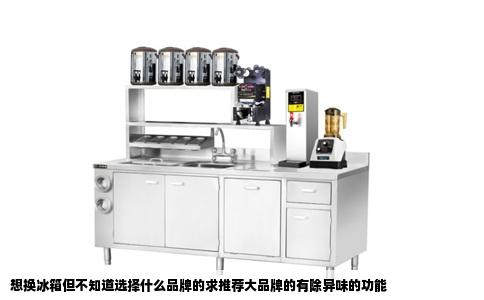 想换冰箱但不知道选择什么品牌的求推荐大品牌的有除异味的功能