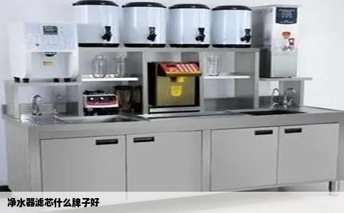 净水器滤芯什么牌子好