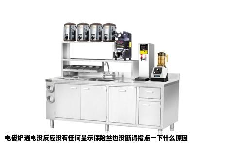 电磁炉通电没反应没有任何显示保险丝也没断请指点一下什么原因