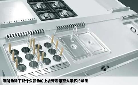 咖啡色裙子配什么颜色的上衣好看希望大家多给意见