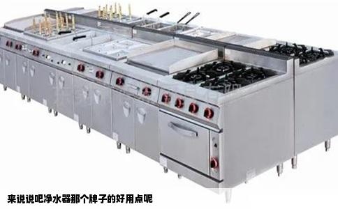 来说说吧净水器那个牌子的好用点呢