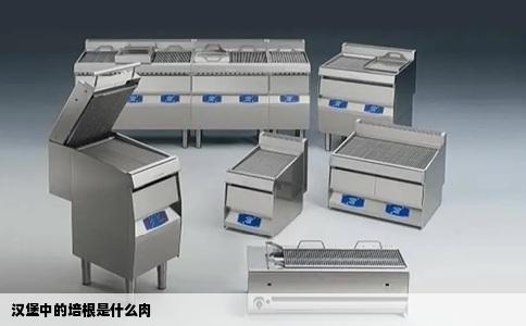 汉堡中的培根是什么肉