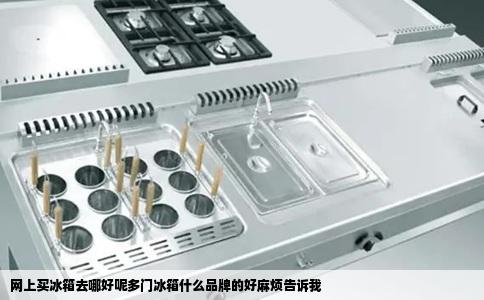 网上买冰箱去哪好呢多门冰箱什么品牌的好麻烦告诉我