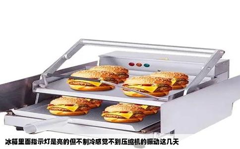 冰箱里面指示灯是亮的但不制冷感觉不到压缩机的振动这几天