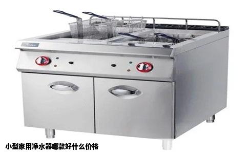 小型家用净水器哪款好什么价格