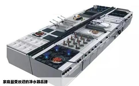 家庭最受欢迎的净水器品牌