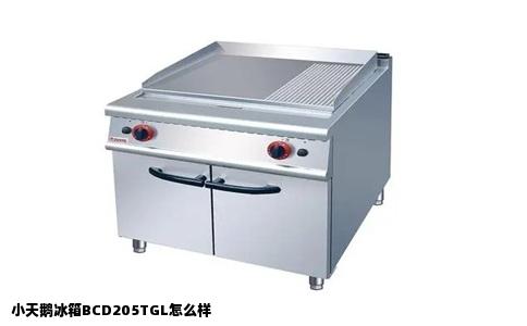 小天鹅冰箱BCD205TGL怎么样