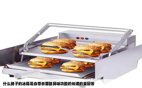 什么牌子的冰箱是自带杀菌除异味功能的知道的来回答