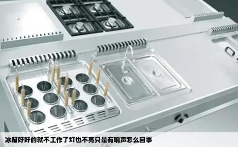 冰箱好好的就不工作了灯也不亮只是有响声怎么回事