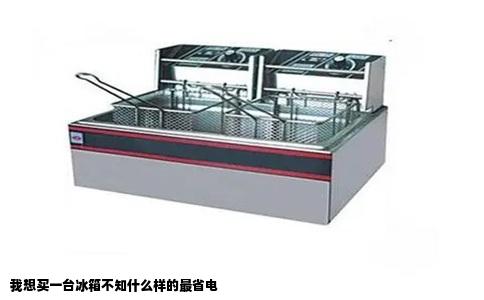 我想买一台冰箱不知什么样的最省电