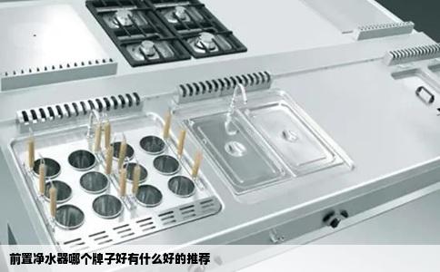 前置净水器哪个牌子好有什么好的推荐