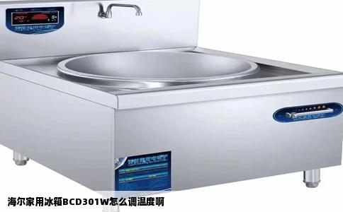 海尔家用冰箱BCD301W怎么调温度啊