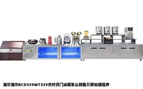 海尔海尔BCD539WT539升对开门冰箱怎么样我只想知道噪声