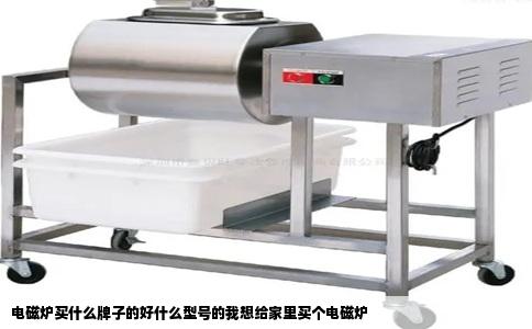 电磁炉买什么牌子的好什么型号的我想给家里买个电磁炉