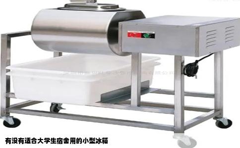 有没有适合大学生宿舍用的小型冰箱