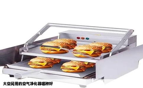 大空间用的空气净化器哪种好