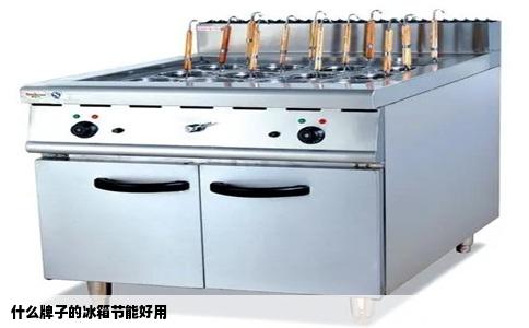 什么牌子的冰箱节能好用