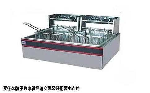 买什么牌子的冰箱经济实惠又好用要小点的