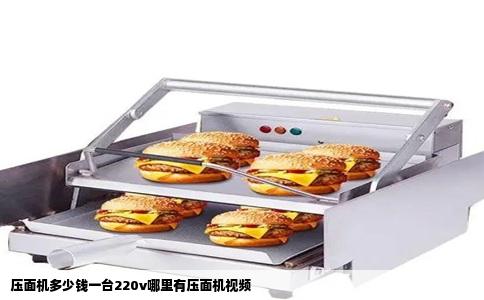 压面机多少钱一台220v哪里有压面机视频