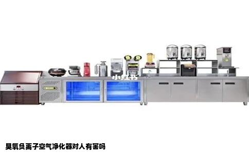 臭氧负离子空气净化器对人有害吗