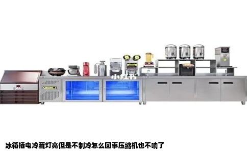 冰箱插电冷藏灯亮但是不制冷怎么回事压缩机也不响了