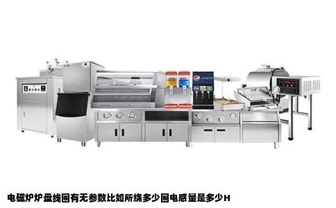 电磁炉炉盘线圈有无参数比如所绕多少圈电感量是多少H