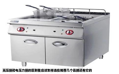 高压锅和电压力锅的区别我应该怎样选在推荐几个品牌还有它的