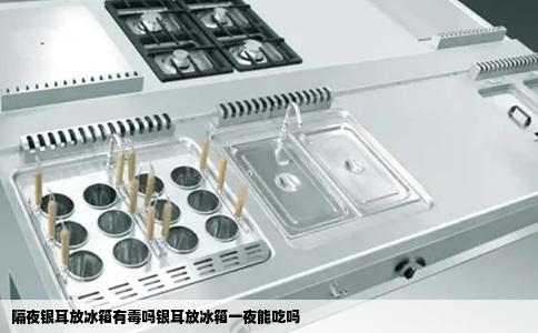 隔夜银耳放冰箱有毒吗银耳放冰箱一夜能吃吗