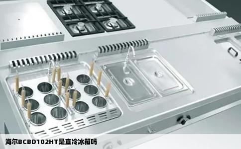 海尔BCBD102HT是直冷冰箱吗
