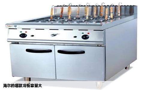 海尔的哪款冷柜容量大