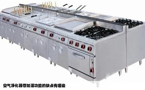 空气净化器带加湿功能的缺点有哪些