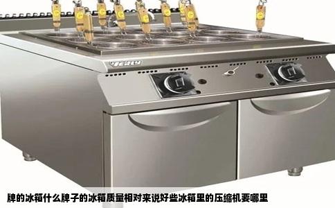 牌的冰箱什么牌子的冰箱质量相对来说好些冰箱里的压缩机要哪里