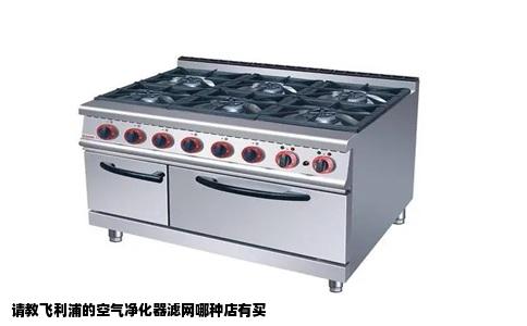 请教飞利浦的空气净化器滤网哪种店有买