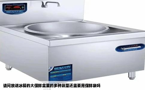 请问放进冰箱的大保鲜盒里的多种蔬菜还需要用保鲜袋吗