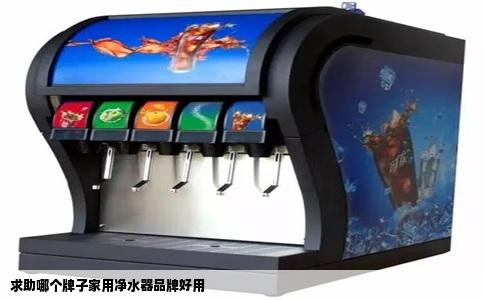 求助哪个牌子家用净水器品牌好用