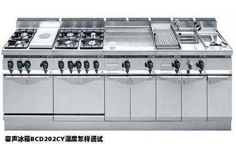 容声冰箱BCD202CY温度怎样调试