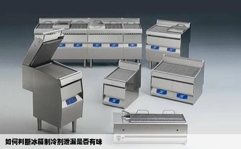 如何判断冰箱制冷剂泄漏是否有味