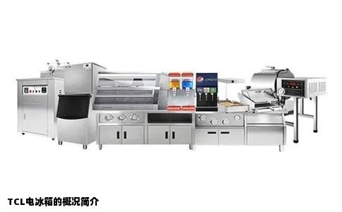 TCL电冰箱的概况简介