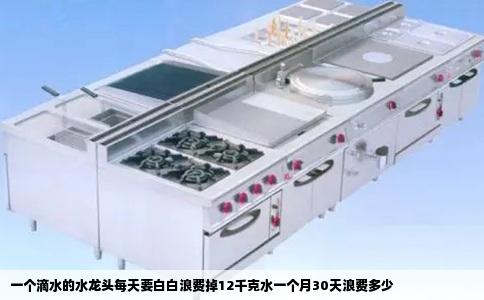 一个滴水的水龙头每天要白白浪费掉12千克水一个月30天浪费多少