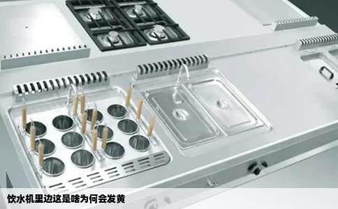 饮水机里边这是啥为何会发黄