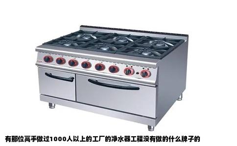 有那位高手做过1000人以上的工厂的净水器工程没有做的什么牌子的